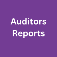 auditors reports